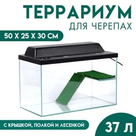 Террариум для черепах 37 л, с крышкой, полкой и лесенкой, 50×25×30 см