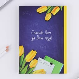 Ежедневник недатированный, А5, 80 л., в подарочной коробке, твердая обложка «Самому лучшему учителю»