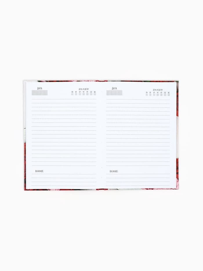 Ежедневник недатированный, А5, 80 л., в подарочной коробке, твердая обложка «Ежедневник учителя»