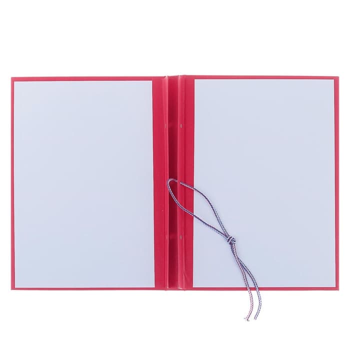 Папка «Магистерская диссертация» бумвинил, гребешки/сутаж, без бумаги, красная, (вместимость до 300 листов)