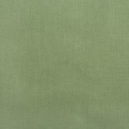 Постельное бельё 2-спальное «Этель. Кактус», ранфорс