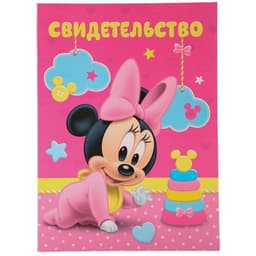 Обложка для документов набор «Мои первые документы», Минни Маус, 21×30 см