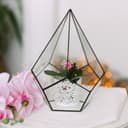 Флорариум «Пирамидка», средняя, стекло, швы чёрные