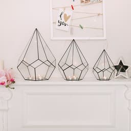 Флорариум «Пирамидка», средняя, стекло, швы чёрные