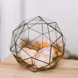 Флорариум «Сложный», стекло, швы серебро