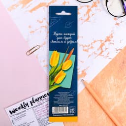 Магнитные закладки для книг, 4 шт., в открытке «Любимому учителю»