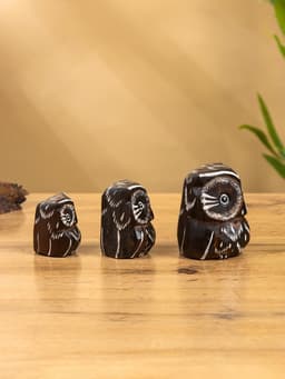 Сувенирный набор «Совы с перьями», 3 шт., 6×19×8 см, дерево