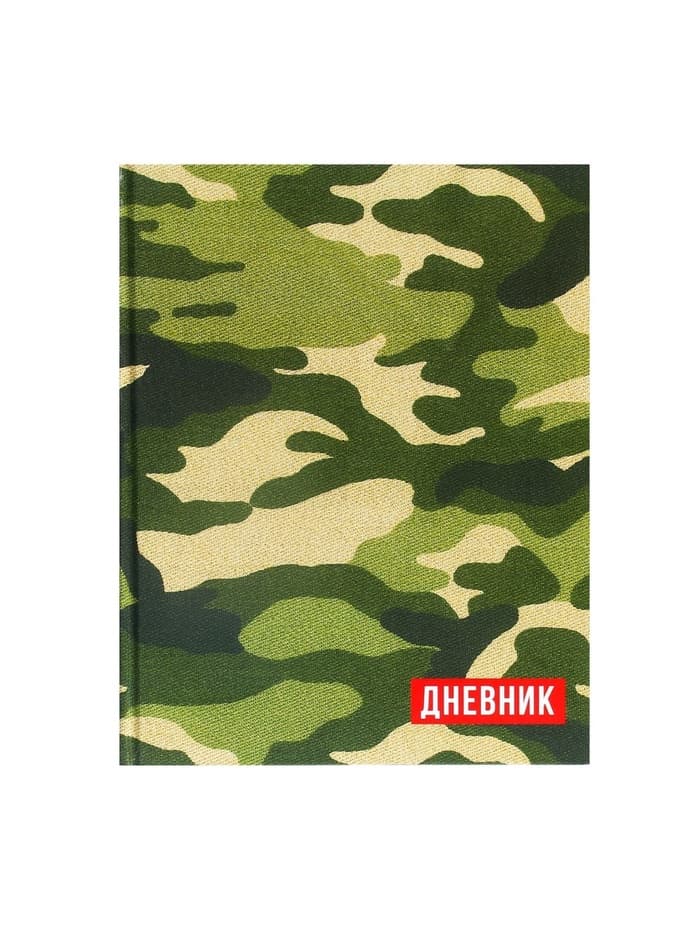 Дневник школьный для 1-11 классов, «Хаки», твёрдая обложка 7БЦ, глянцевая ламинация, 40 листов