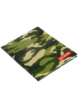 Дневник школьный для 1-11 классов, «Хаки», твёрдая обложка 7БЦ, глянцевая ламинация, 40 листов