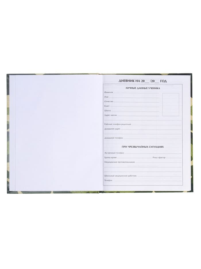 Дневник школьный для 1-11 классов, «Хаки», твёрдая обложка 7БЦ, глянцевая ламинация, 40 листов
