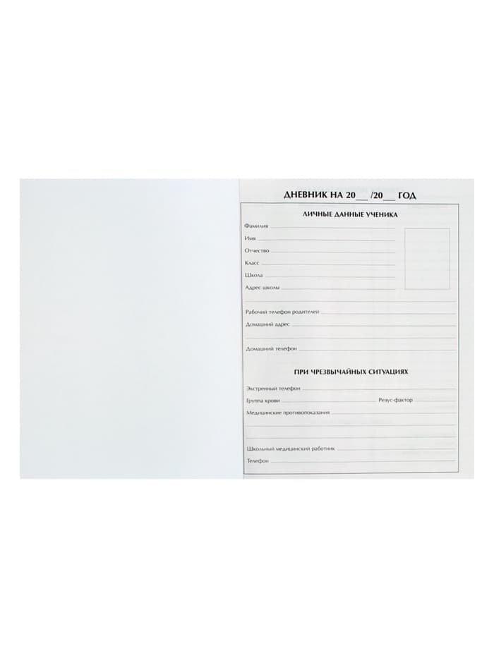 Дневник школьный для 1-11 классов, «Фэшн», твёрдая обложка 7БЦ, глянцевая ламинация, 40 листов