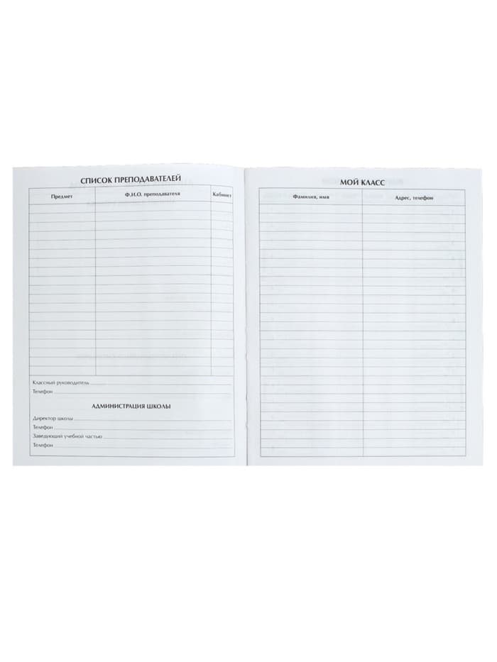 Дневник школьный для 1-11 классов, «Фэшн», твёрдая обложка 7БЦ, глянцевая ламинация, 40 листов