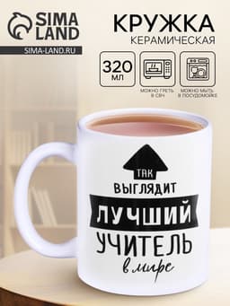 Кружка чайная керамическая «Так выглядит лучший учитель», 320 мл