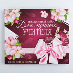 Подарочный набор, ежедневник А5, 80 л., планер 50 л., «Для лучшего учителя»