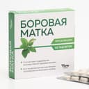 Боровая матка для мочеполовой системы, 50 табл по 500 мг