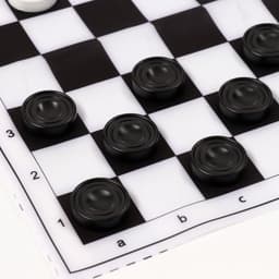 Шашки, настольная игра Десятое Королевство «Два пингвина», 24 шт., мягкое поле 29×29 см