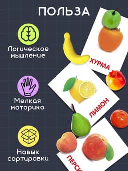 Обучающий набор по методике Г. Домана «Фрукты», 10 карточек, 10 фруктов, счётный материал, 3+, МИКС