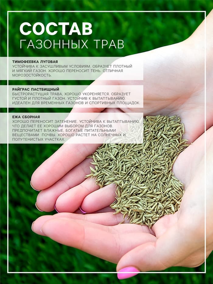 Газонная травосмесь «Гринкипер», «Городская», 5 кг