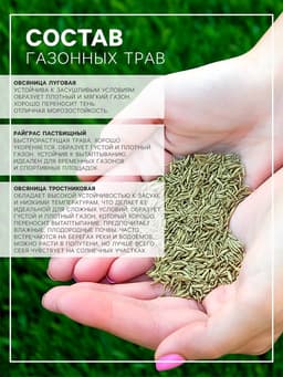 Газонная травосмесь «Засухоустойчивая», 1 кг