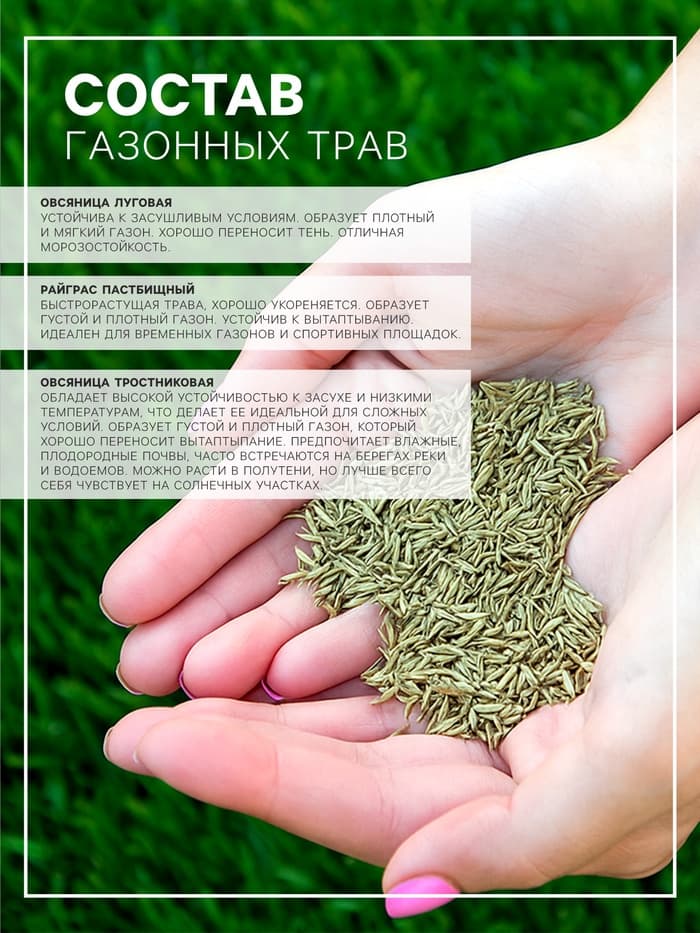 Газонная травосмесь «Гринкипер», «Зимостойкая», 1 кг