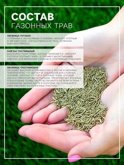 Газонная травосмесь «Гринкипер», «Зимостойкая», 1 кг