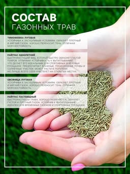 Газонная травосмесь «Быстрый газон», 10 кг