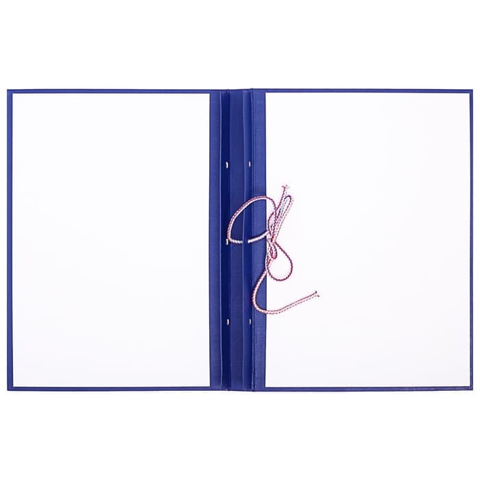 Папка для дипломных работ (Без надписи), бумвинил, гребешки/сутаж, без бумаги, синяя, (вместимость до 150 листов)