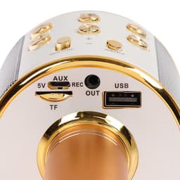 Микрофон для караоке Luazon LZZ-56, WS-858, 1800 мАч, жёлтый