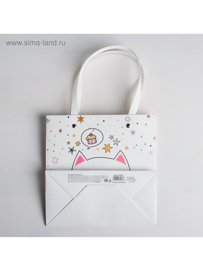 Пакет подарочный, упаковка, «Котик», 20×20×10 см
