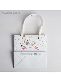 Пакет подарочный, упаковка, «Котик», 20×20×10 см