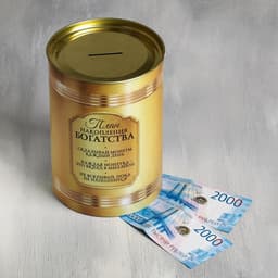 Копилка XXL «Начинающего миллионера», 20×12.5 см