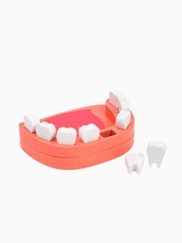 Детский набор доктора Лесная мастерская «Стоматолог» 33 предмета, 20.2×8×16 см