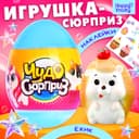 Чудо-сюрприз Happy Valley «Ёжики», МИКС