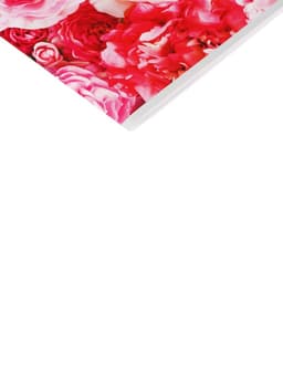 Альбом для рисования Calligrata «Розы» А4, 40 листов, на скрепке, плотность листов 100 г/м², обложка из мелованного картона