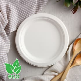 Тарелка одноразовая ECO, d=17.2 см, круглая, из сахарного тростника, белая