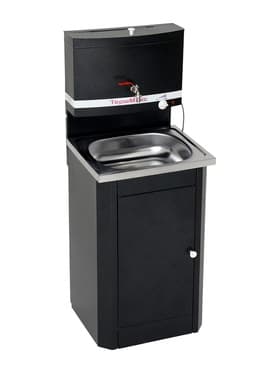 Умывальник «ТермМикс», с ЭВН, нержавеющая мойка, 1250 Вт, 17 л, цвет серебро