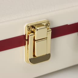 Шкатулка музыкальная механическая «Скрипка», пластик, белая, 6×34.5×12.7 см