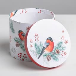 Набор подарочных коробок 5 в 1 «Европейский», 13×14 ‒ 19.5×22 см, Новый год