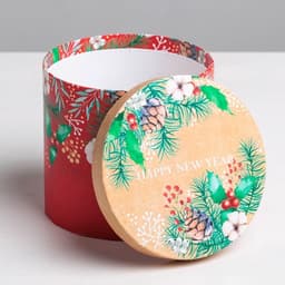 Набор подарочных коробок 5 в 1 «Европейский», 13×14 ‒ 19.5×22 см, Новый год