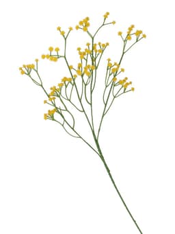 Цветы искусственные «Ветка гипсофилы», 1×53 см, жёлтые