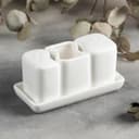 Набор для специй Magistro «Бланш», солонка 65 мл, перечница 60 мл, ёмкость для зубочисток, на подставке, фарфор, белый