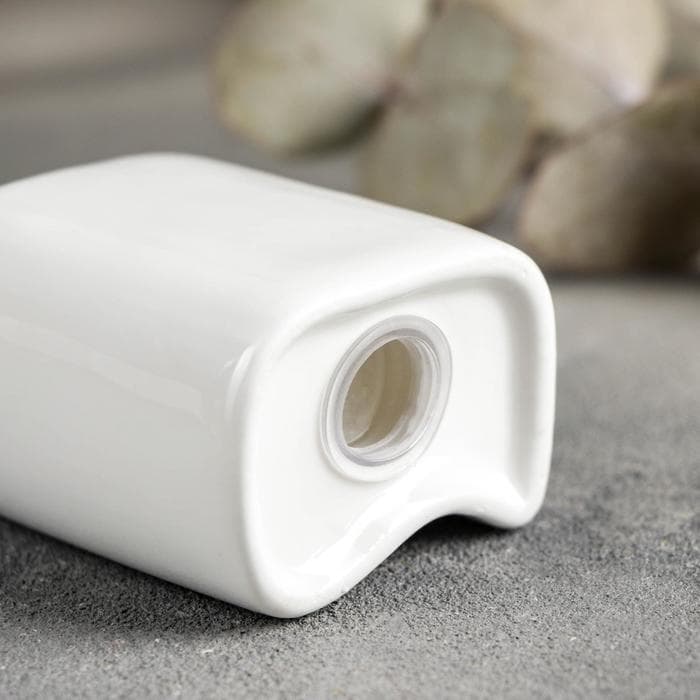 Набор для специй Magistro «Бланш», солонка 65 мл, перечница 60 мл, ёмкость для зубочисток, на подставке, фарфор, белый