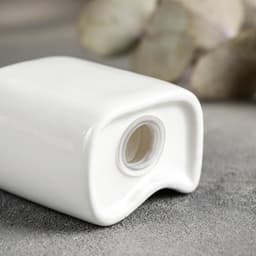 Набор для специй Magistro «Бланш», солонка 65 мл, перечница 60 мл, ёмкость для зубочисток, на подставке, фарфор, белый