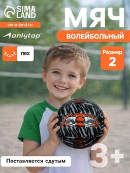 Волейбольный мяч ONLYTOP «Тигр», машинная сшивка, 18 панелей, размер 2, PVC