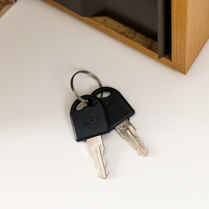 Шкатулка книга - сейф «Горе от ума», 21×13×5 см