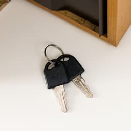 Шкатулка книга - сейф «Горе от ума», 21×13×5 см