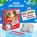 Раскопки «Послание от Деда Мороза» бутылочка, камни