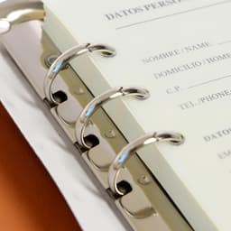 Ежедневник-органайзер Calligrata, А5, 90 листов, МИКС