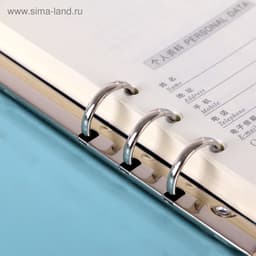 Ежедневник-органайзер Calligrata, А5, 90 листов, МИКС