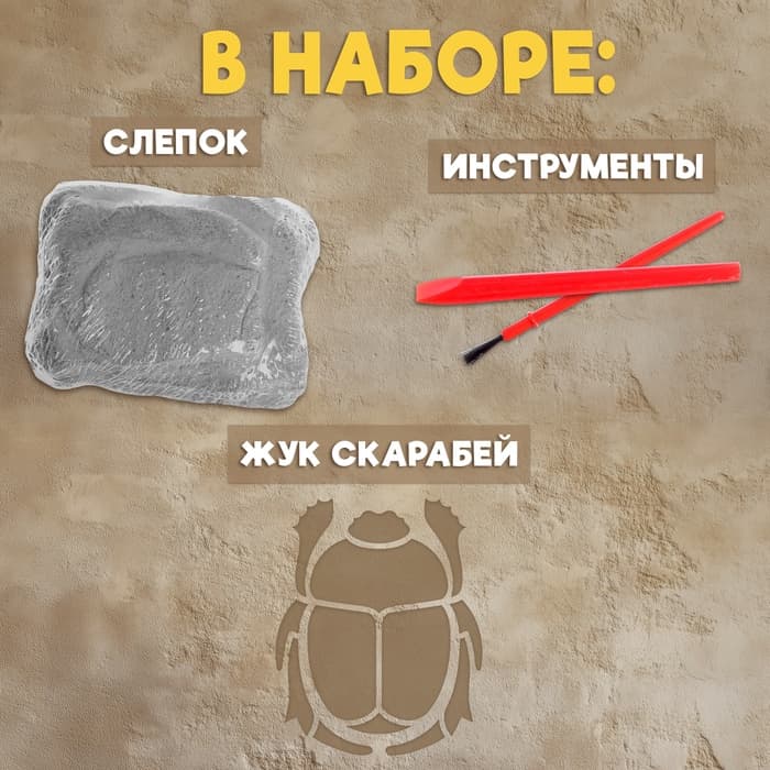 Раскопки «Тайна жука Скарабея»